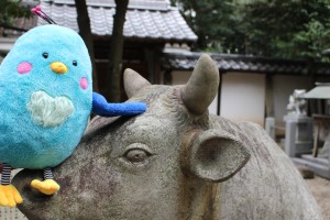 譛画收螟ｩ貅遉ｾ・医≠繧翫∪縺､縺ｦ繧薙∪繧薙＠繧・ｼ・IMG_7535