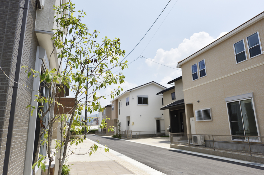 道路を挟んで南北に並ぶ、個性あふれる家々