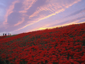 22d66a28ff0aca89d9632f6b545c403c