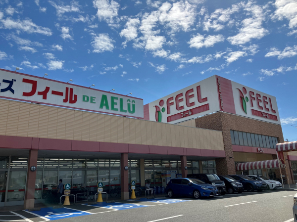 フィール AELU