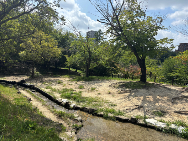 杁ヶ池公園