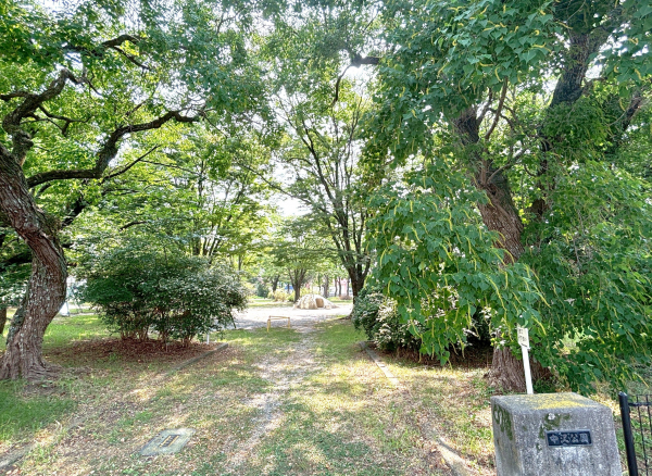 中沢公園