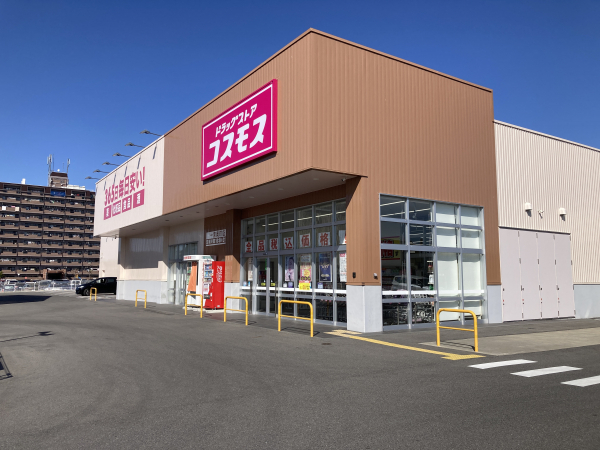 ドラッグストアコスモス 一宮奥町店