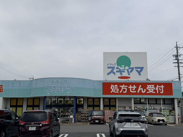 ドラッグスギヤマ 美里店