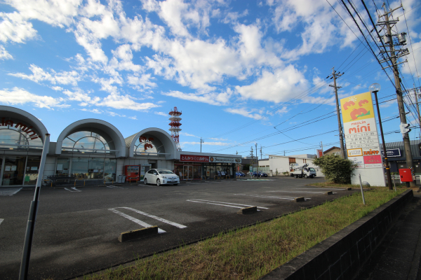 メグリア ミニ 加茂川店
