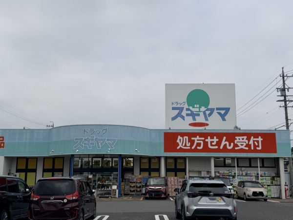 ドラッグスギヤマ 美里店