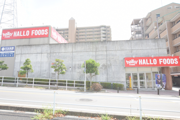 コノミヤ ハローフーヅ 天白店