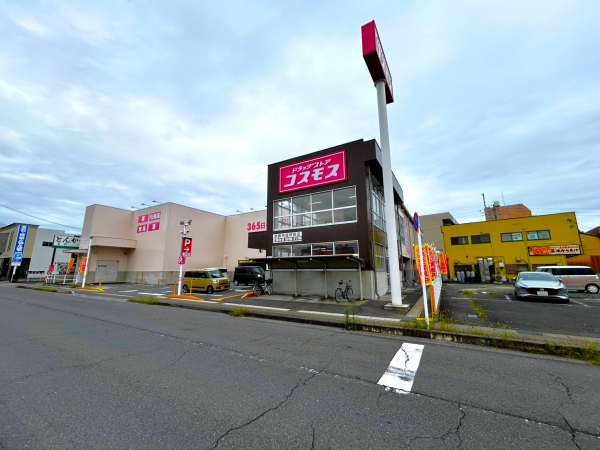 ドラッグストアコスモス 鈴鹿市役所前店