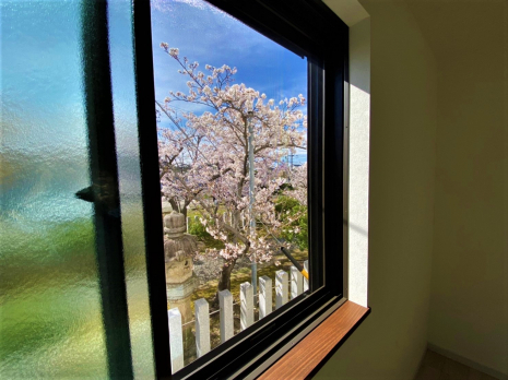 窓から桜も眺められるLDK(D棟)