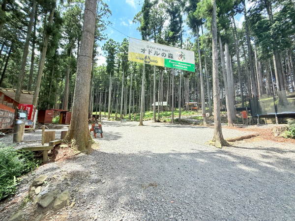 フォレストアドベンチャー