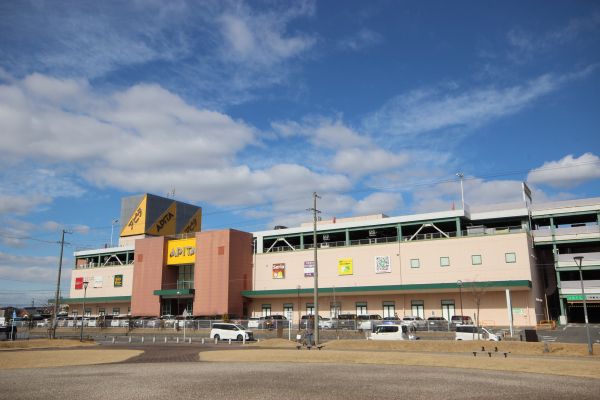 アピタ安城南店