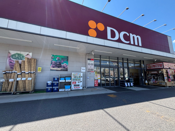 DCM