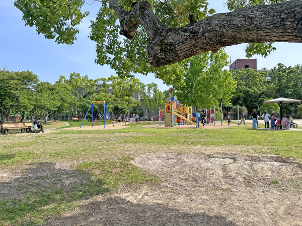 桜の森公園